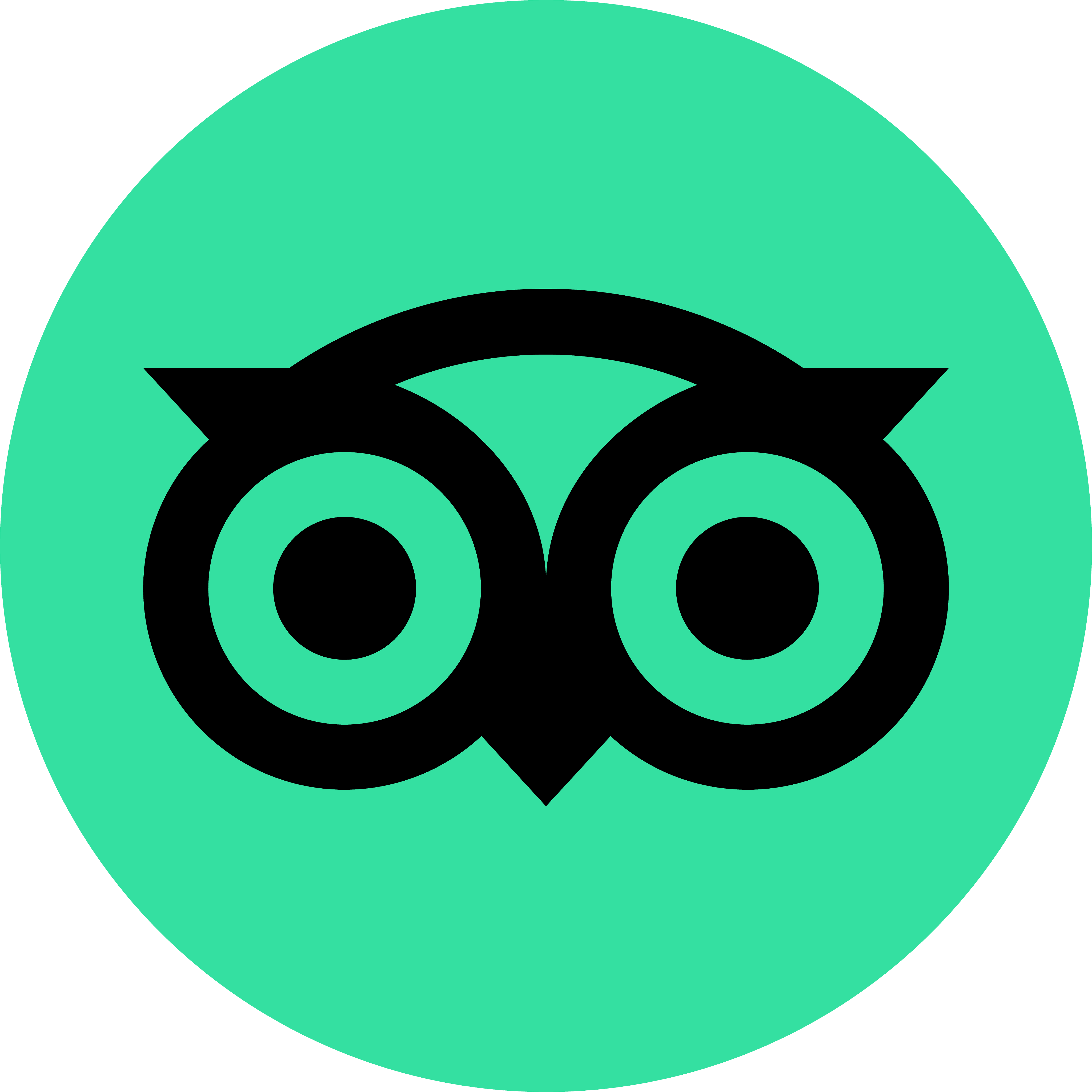 trip advisor logo